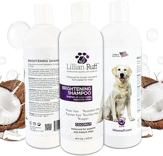 is regular shampoo good for dogs