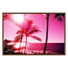 SIGNWIN Framed Canvas Wall Art Bright Pink Silhouettes...