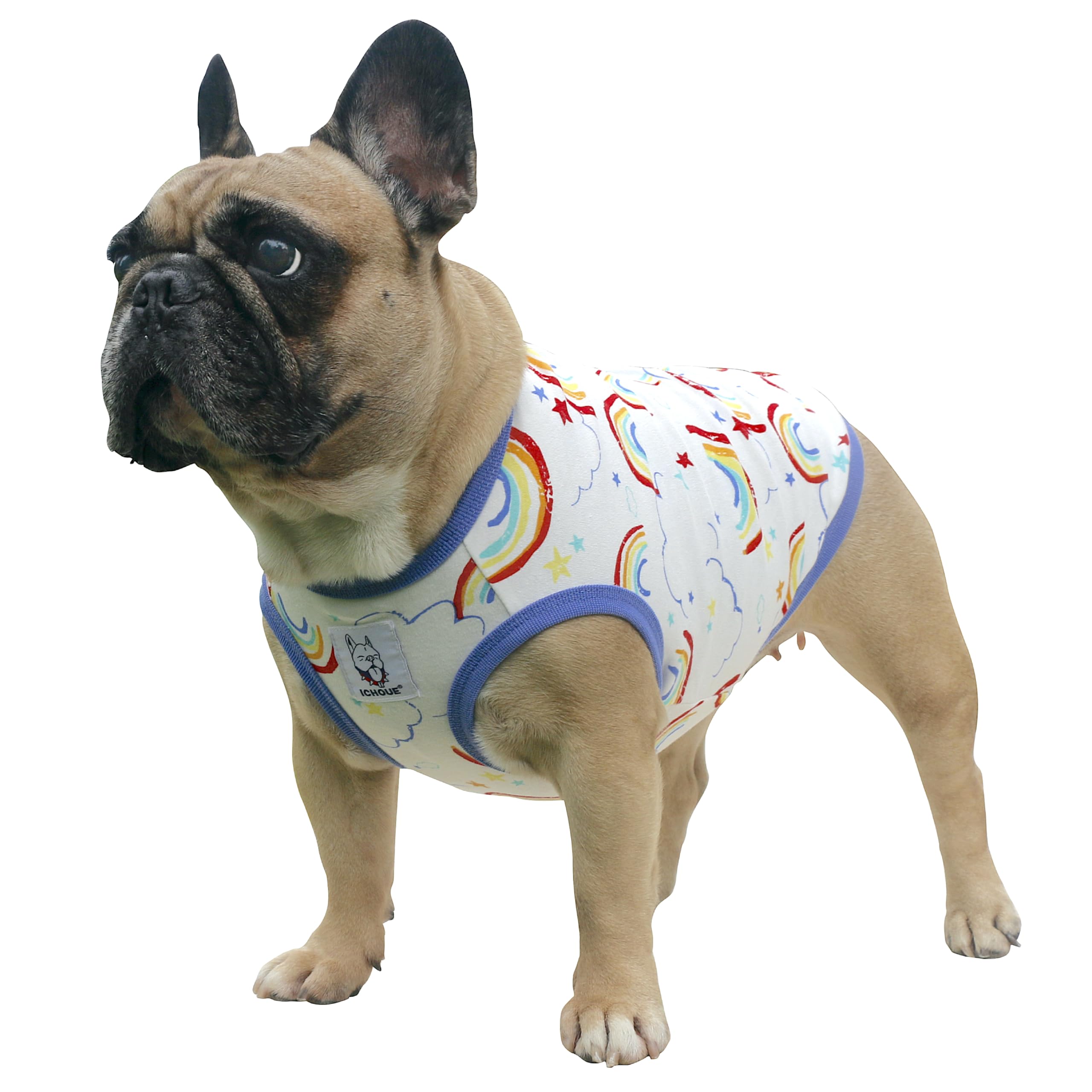 iChoue English Bulldog Cartoon T Shirts Cute Clothes for Medium Large Dogs Vest Tank Tops Terrier Pitbull Rainbow - XXLarge