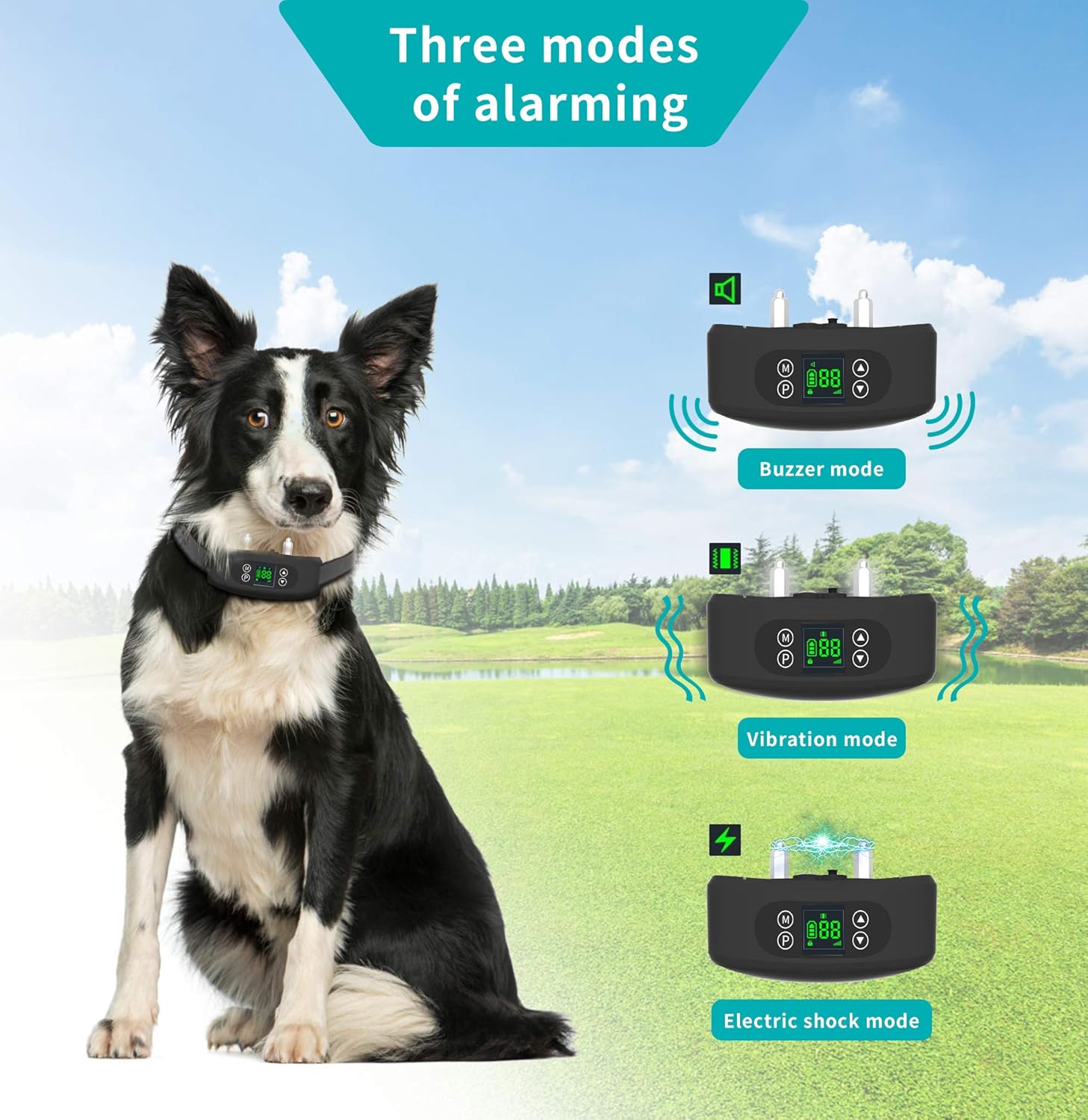 Sixin GPS Wireless Dog Fence System,Inground/Aboveground Pet