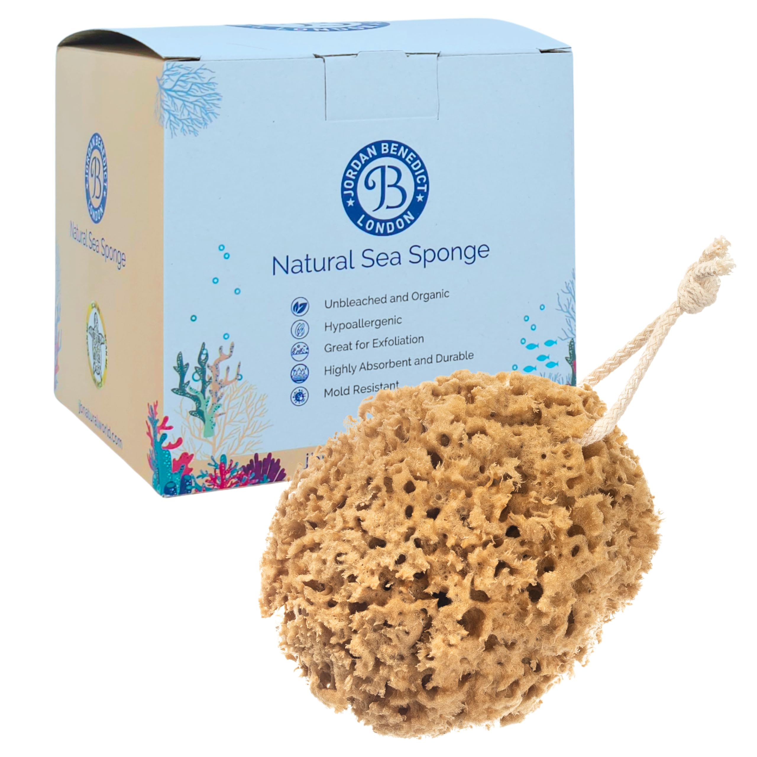 Jordan Benedict Natural Sea Sponge, Unbleached Honeycomb Bath Sponges for Adults, Gently Exfoliating Shower Sponge, Nurturing Organic Bathing Sponge (M Pack of 1)