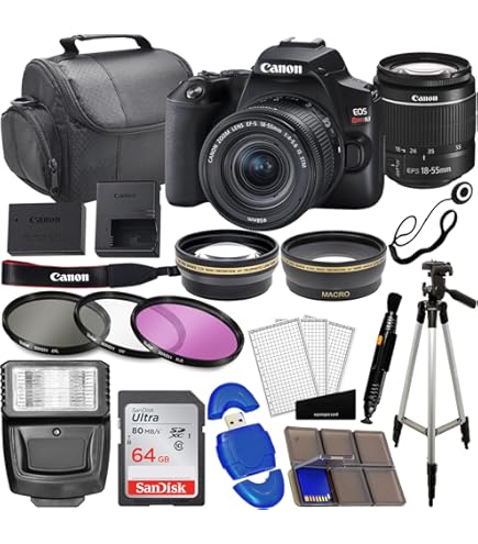 Amazon.com : Canon EOS 250D DSLR Camera with 18-55mm Lens