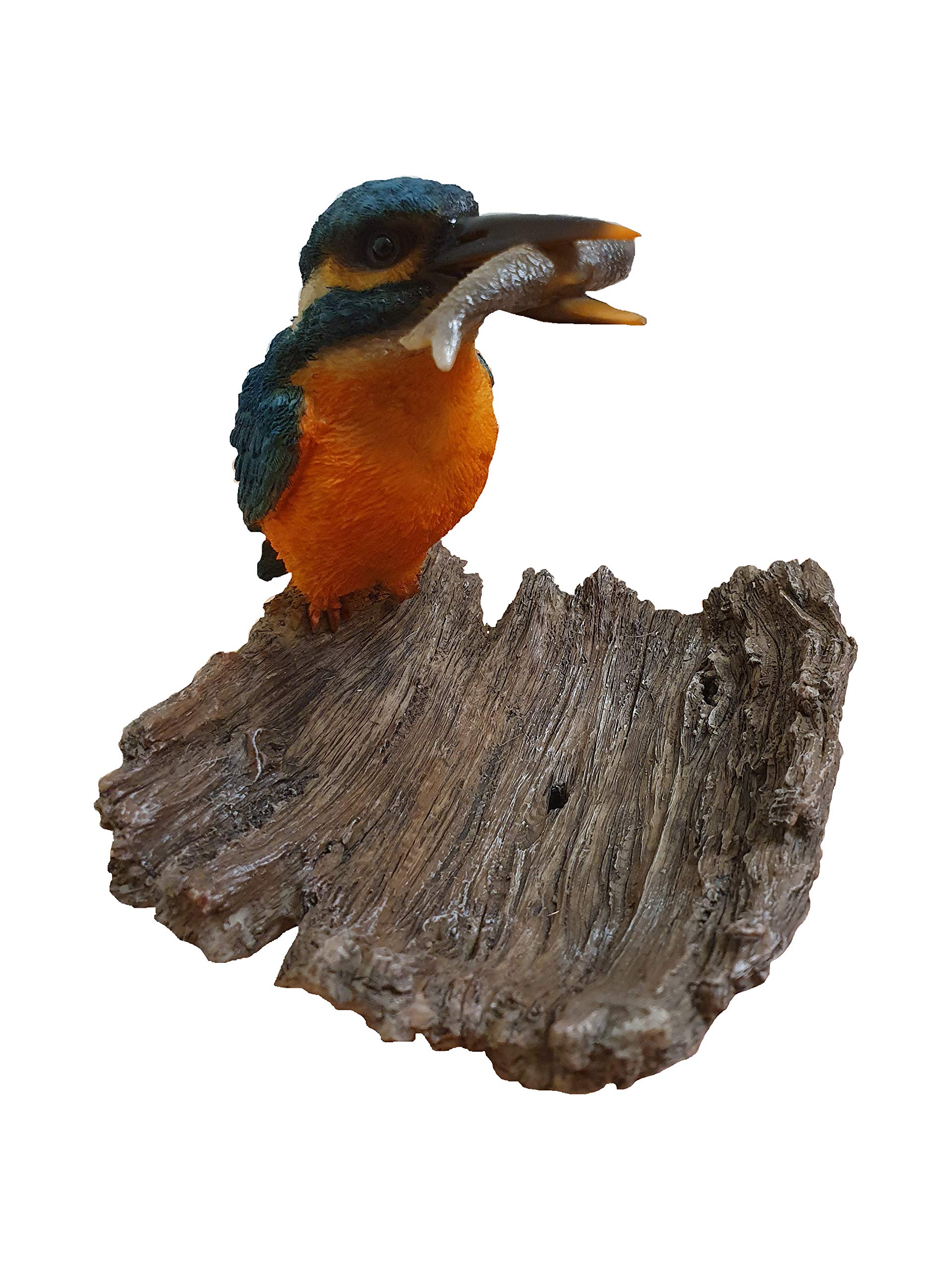 Vivid Arts Kingfisher on Driftwood Home or Garden Decoration (BG-KF08-F)
