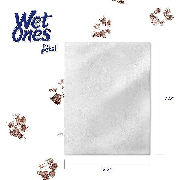 WET ONES FOR PETS DEODORIZING MULTIPURPOSE DOG WIPES WITH BAKING SODA, TROPICAL SPLASH SCENT – DESMELLIZING WIPES FOR DOGS IN CANISTER, 50 COUNT