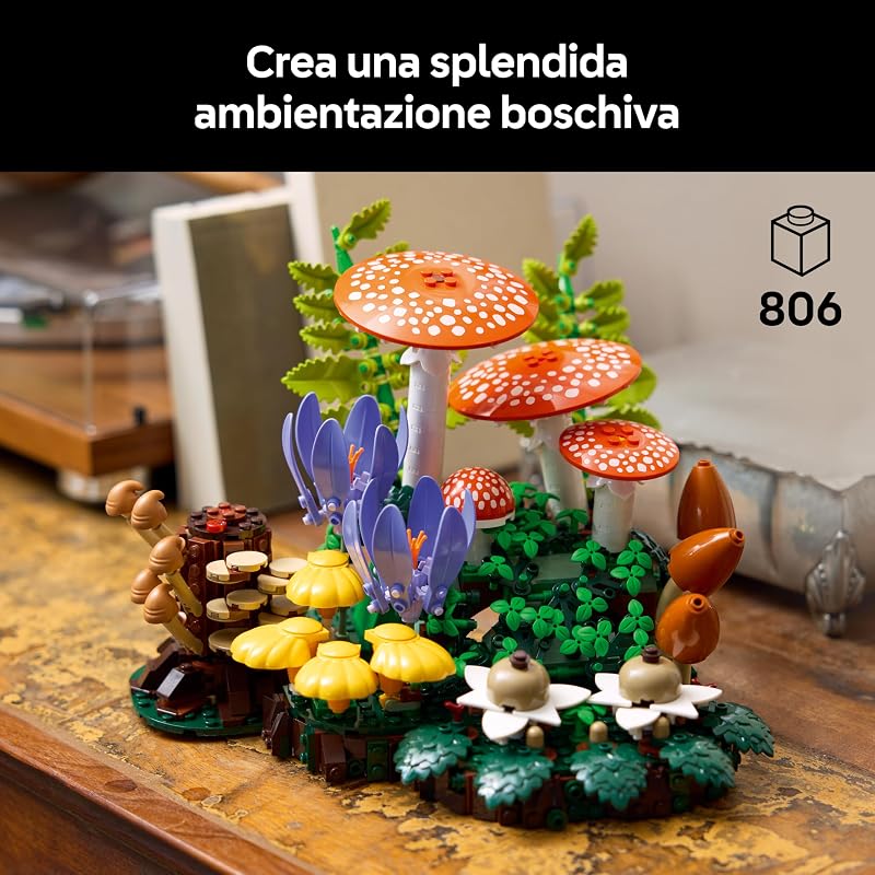Botanicals Funghi del bosco 11505