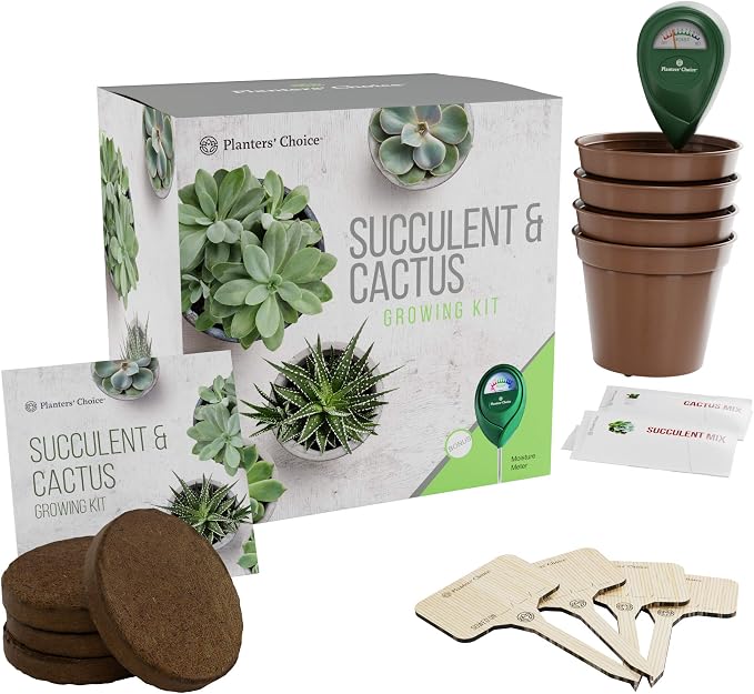Kit de Cultivo de Cactus y Plantas Suculentas con Medidor de ...