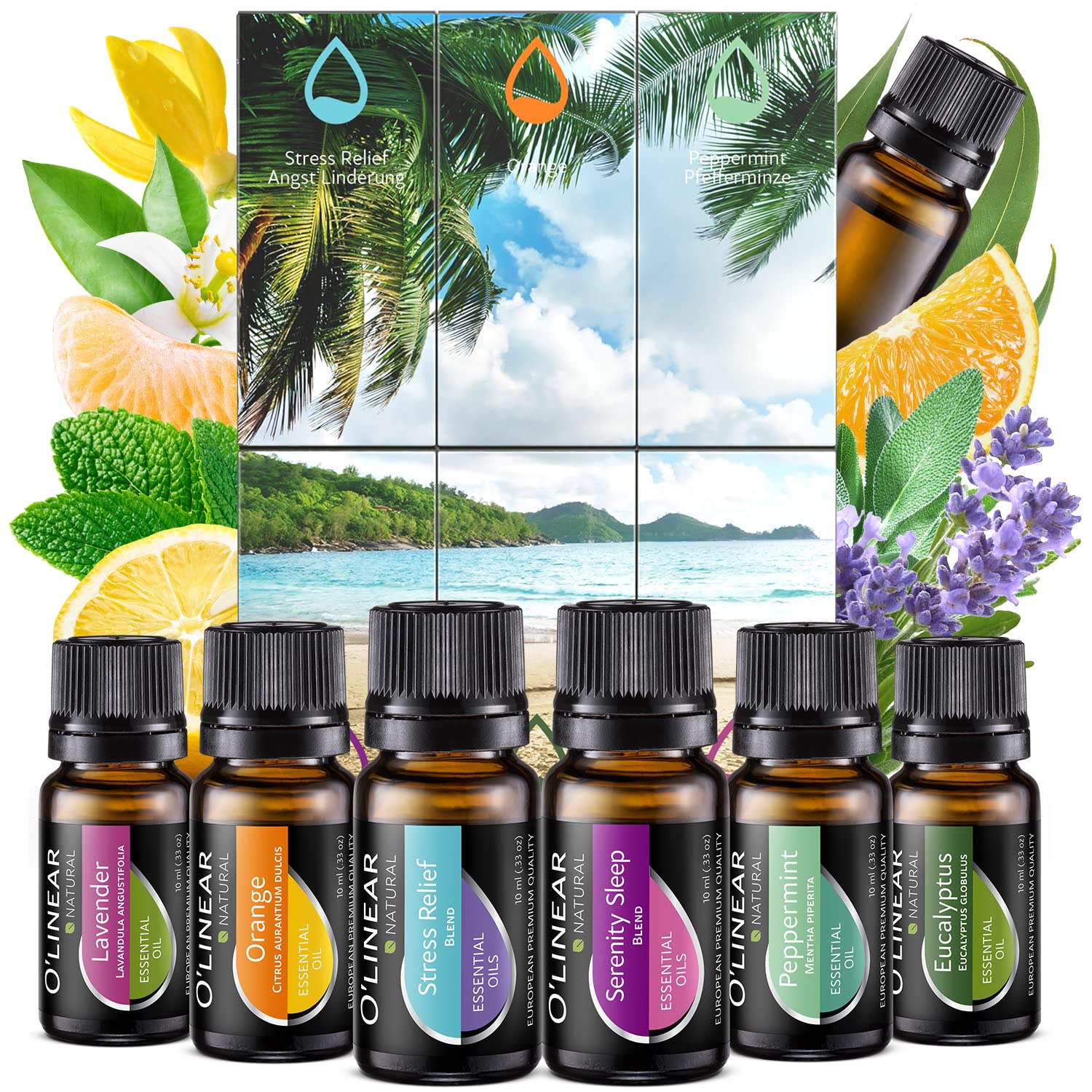 Essential Oils Set - 4 Oils & 2 Blends, Top 6 Essential Oils for Diffusers for Home, Stress Relief, Serenity Sleep Oil Blend Aromatherapy, Peppermint, Orange, Lavender, Eucalyptus Essential Oils - Image 6