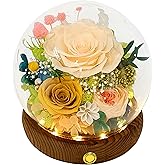 Valley of Rain & Forest Long-Lasting Real Flowers, Unique Floral Gift for You to Send Love for All Occasions, for Indoor Decoration (Champagne & Yellow Roses Arrangement)
