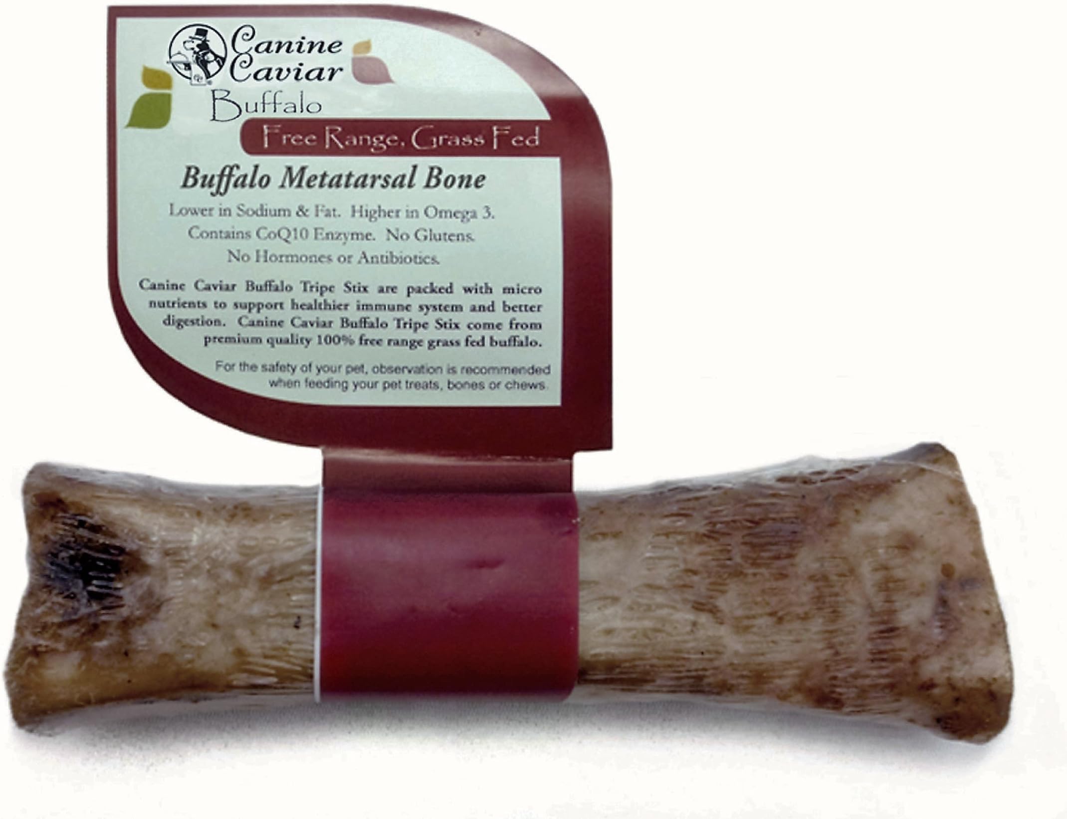 Canine Caviar Tibia Bone