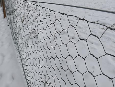Hexagonal Wire Netting 600mm X 5m 25mm Hole Galvanised Wire Mesh