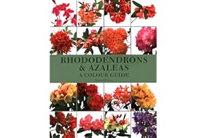 Rhododendrons and Azaleas - A Colour Guide