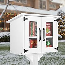 Amazon.com: Ilyapa Little Library Box Outdoor - 22x14x19 Inch