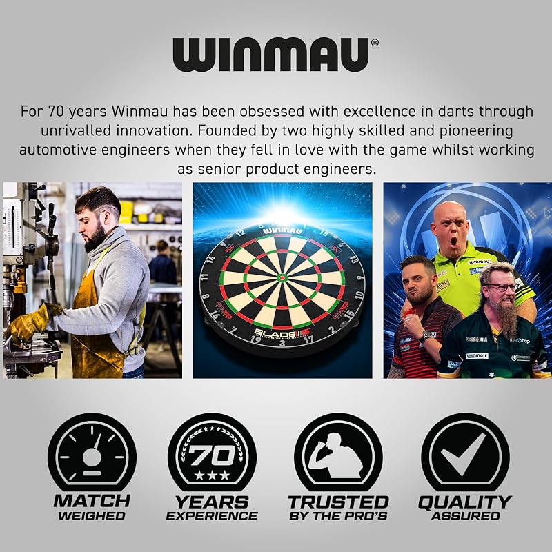 | Professional Darts Set Armoire Noire de Haute qualité