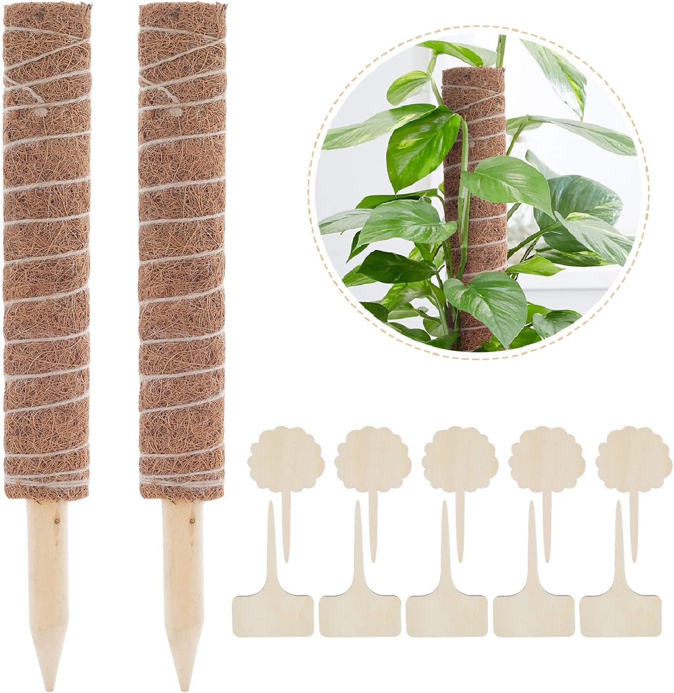Lemecima 2 Stück Pflanzstab Kokos Rankstab Rankhilfe Blumenstab mit 10 Holzetiketten für Pflanzenname Pflanzzeit Kokosstab Stützpfahl Holz aus Natürlicher Kokosfaser zur Dekoration Verlängerbar 70CM