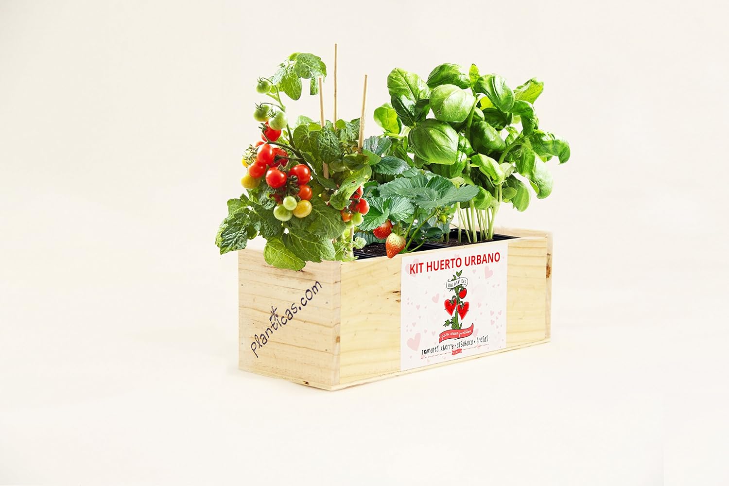 Kit de Huerto Urbano para Enamorados: Tomates Cherry, Albahaca y ...