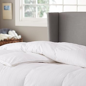 Buy Pinzon Signature Pyrenees Hypoallergenic Medium Warmth White