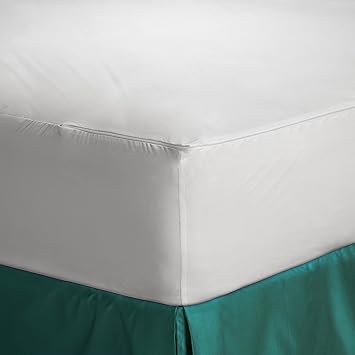 Trance Home Linen Cotton Zippered Encased Waterproof Mattress Protector - Small (Queen Size, 72 X 60-inches)