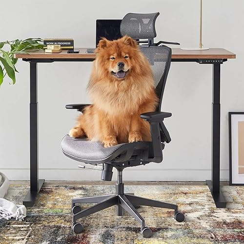 Anidaroel Office Chair Mat for Hardwood Floor, 48