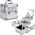Ver Beauty Makeup Box Cosmetic Train Case with Clear Armored Acrylic Jewelry Organizer with 2 Tiers Trays and Mirror Lockable Portable Travel Cosmetic Display Aluminum Case