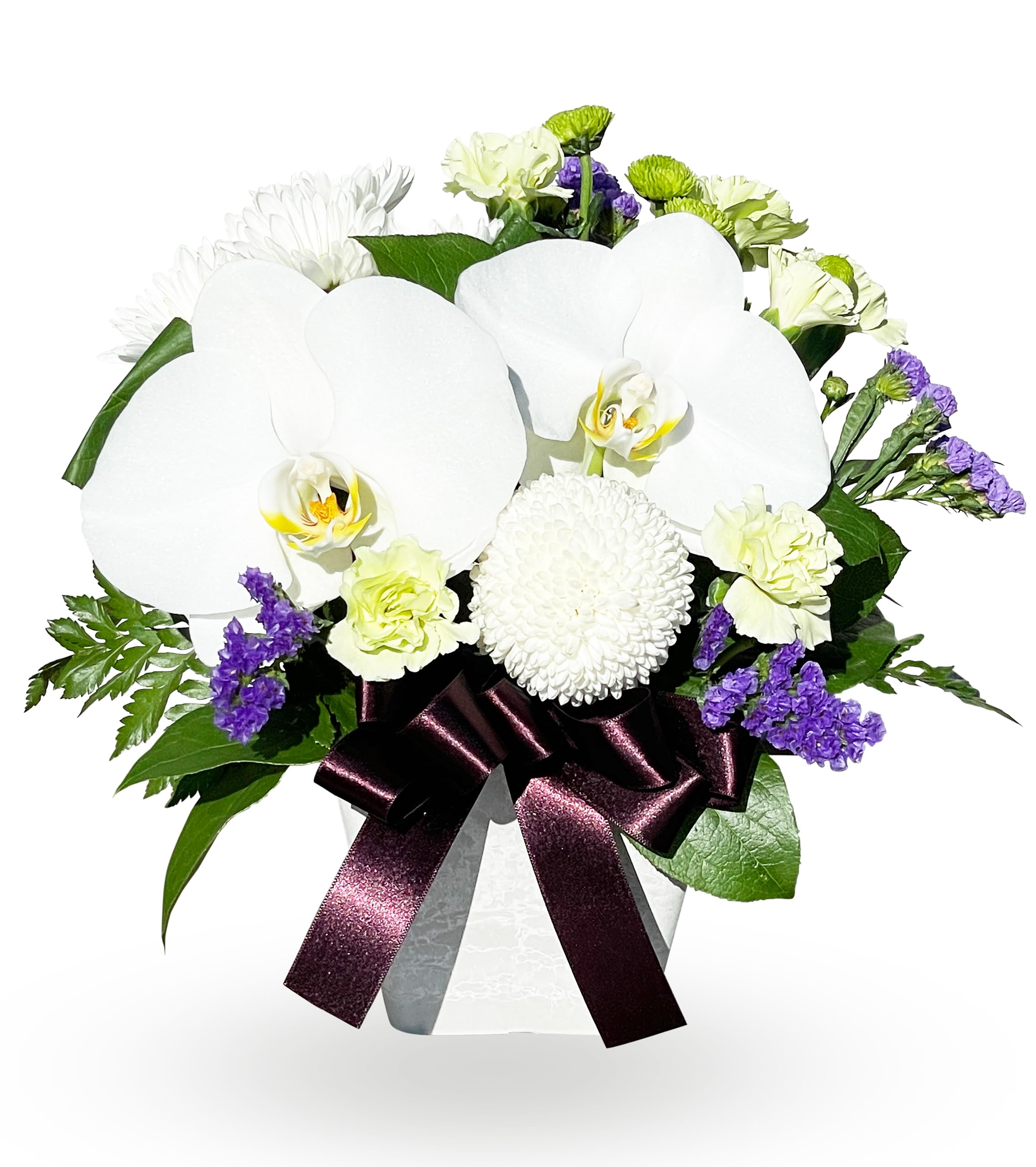 胡蝶蘭専門店らんや 生花 胡蝶蘭アレンジ petit お供え【配送停止】北海道、青森県、秋田県、岩手県、福島県、山形県、長野県、山梨県【配送不可】沖縄、離島 /「法人向け」 コチョウラン 就任 開店 などのお祝いから「個人向け」 ギフト 誕生日 プレゼント お悔み まで/お供え/P1773商品画像