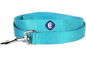 Blueberry Pet Dog Leash - Puppy Essentials & Dog Leashes for Large Dogs Heavy Duty | Gentle Leader for Dogs, Cat Leash, Dog Leashes for Medium Dogs, Small Dog Lead | Turquoise, 5ft x 3/4"