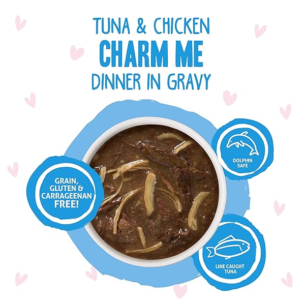 WERUVA B.F.F. OMG – BEST FELINE FRIEND OH MY GRAVY! TUNA & CHICKEN CHARM ME WITH TUNA & CHICKEN IN GRAVY CAT FOOD, 3OZ POUCH (PACK OF 12)
