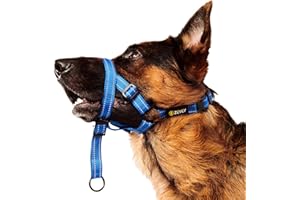 Zevey Dog Headcollar with Safety Strap Stops Heavy Pulling On The Leash Padded Reflective Head Halter for Small Medium Large Dogs Adjustable Head Harness for Training and Walking (Blue, XL)
