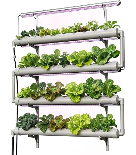 Amazon.com : ZXMT Hydroponic Grow Kit 108 Plant Sites 3 Layers