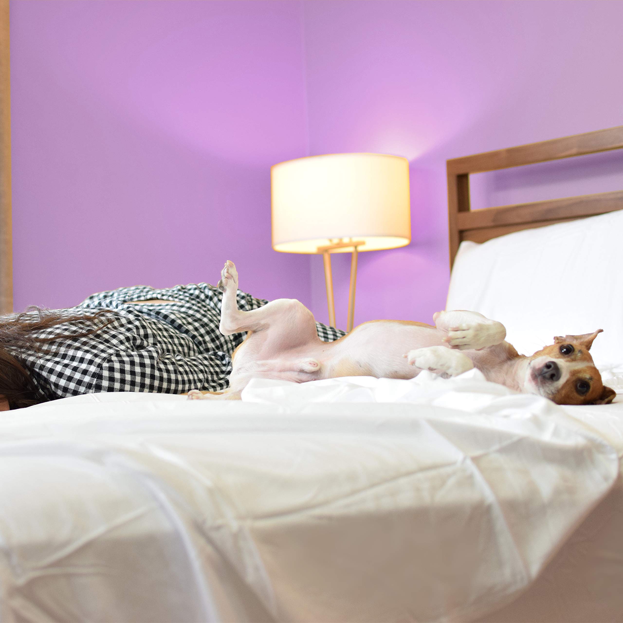 Sheets & Giggles Eucalyptus Lyocell Sheet Set. Compared With Cotton