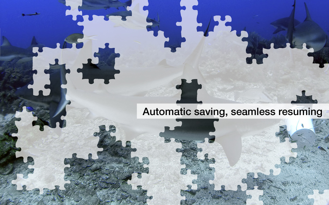 Shark Jigsaw Puzzles