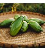thumbnail image 2 of 100+ West Indian Gherkin Seeds - Rare Heirloom Burr Cucumber - Fresh For Planting In Spring, Summer, Fall 2 of 6