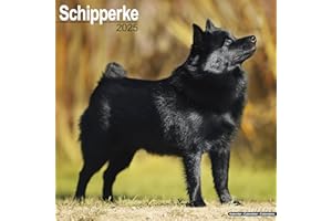Schipperke Calendar 2025 | Square Dog Breed Wall Calendar - 16 Month