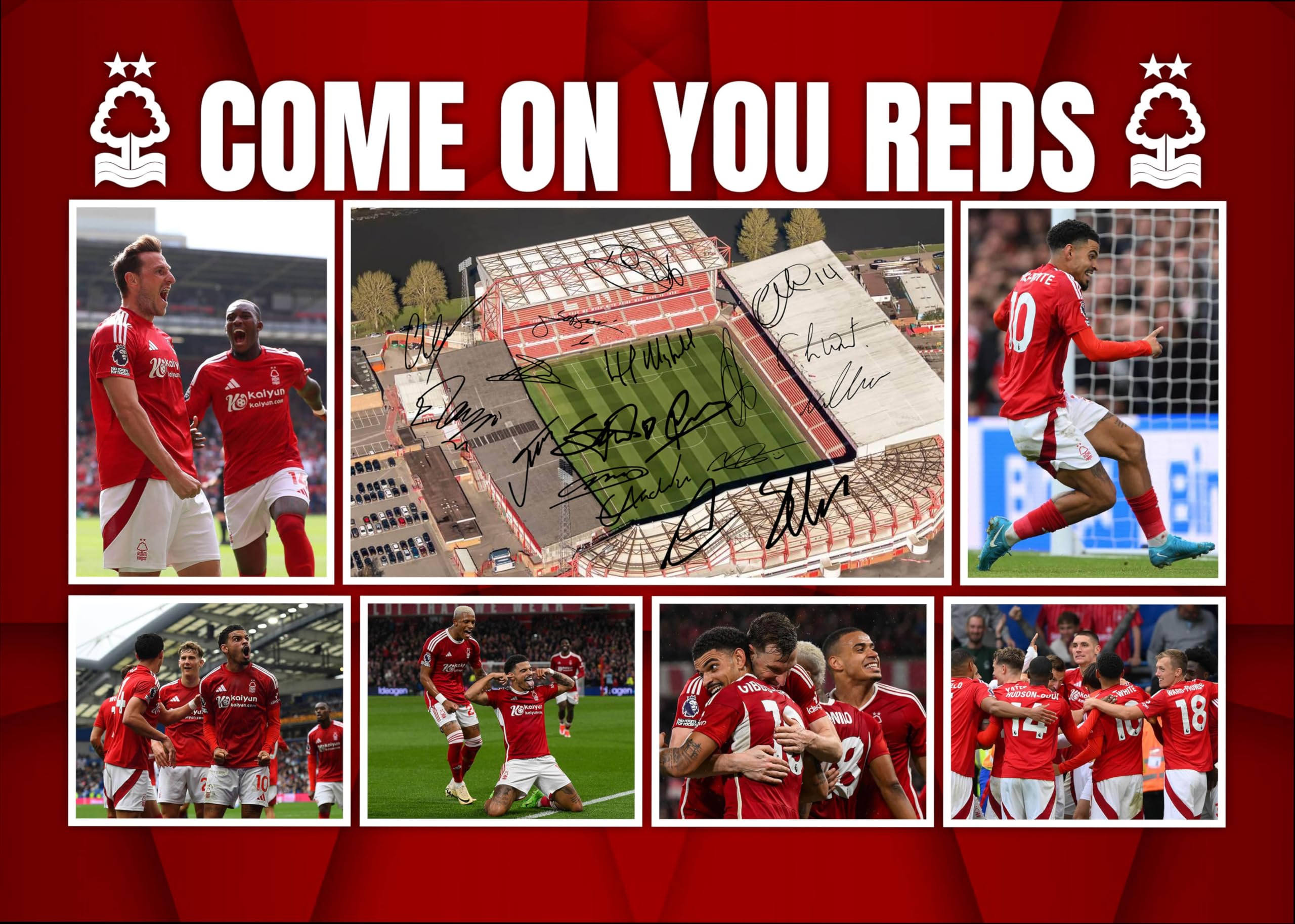 RJR PRINTS Nottingham Forest ' Come On You Reds ' 2024/5 Team Football Players Multi Signed A4 Montage Photo Print Which Would Make A Great Gift For Any Fan.