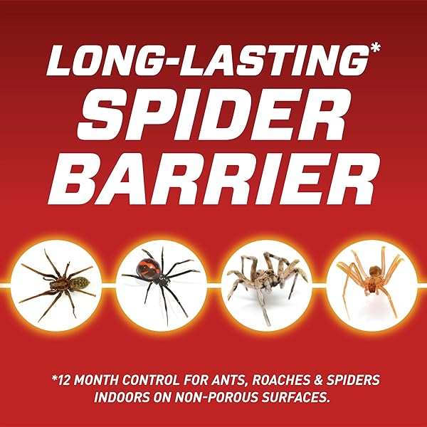 ORTHO HOME DEFENSE INSECT KILLER FOR INDOOR AND PERIMETER REFILL2, CONTROLS ANTS, ROACHES, SPIDERS AND MORE, 1 GAL