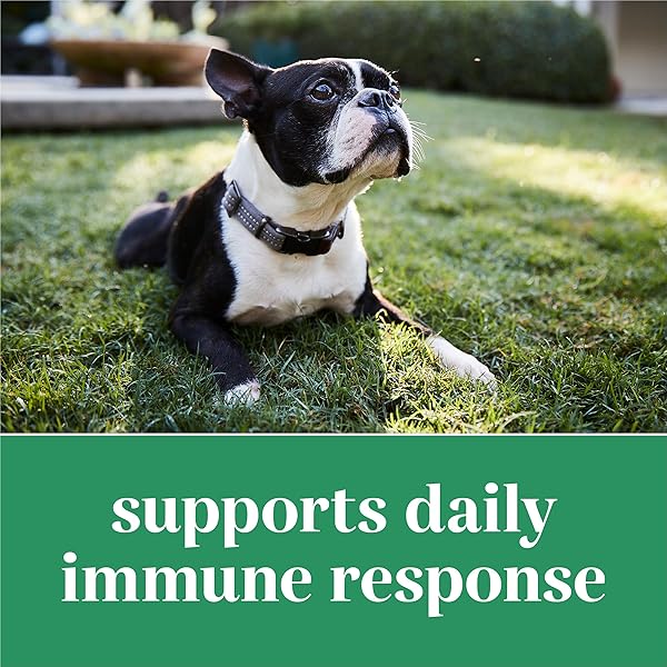 EVERROOT DOG SUPPLEMENTS POWERED BY PURINA IMMUNITY CHEWABLE TABLET WITH SPIRULINA AND ANTIOXIDANTS – 3.6 OZ. CANISTER