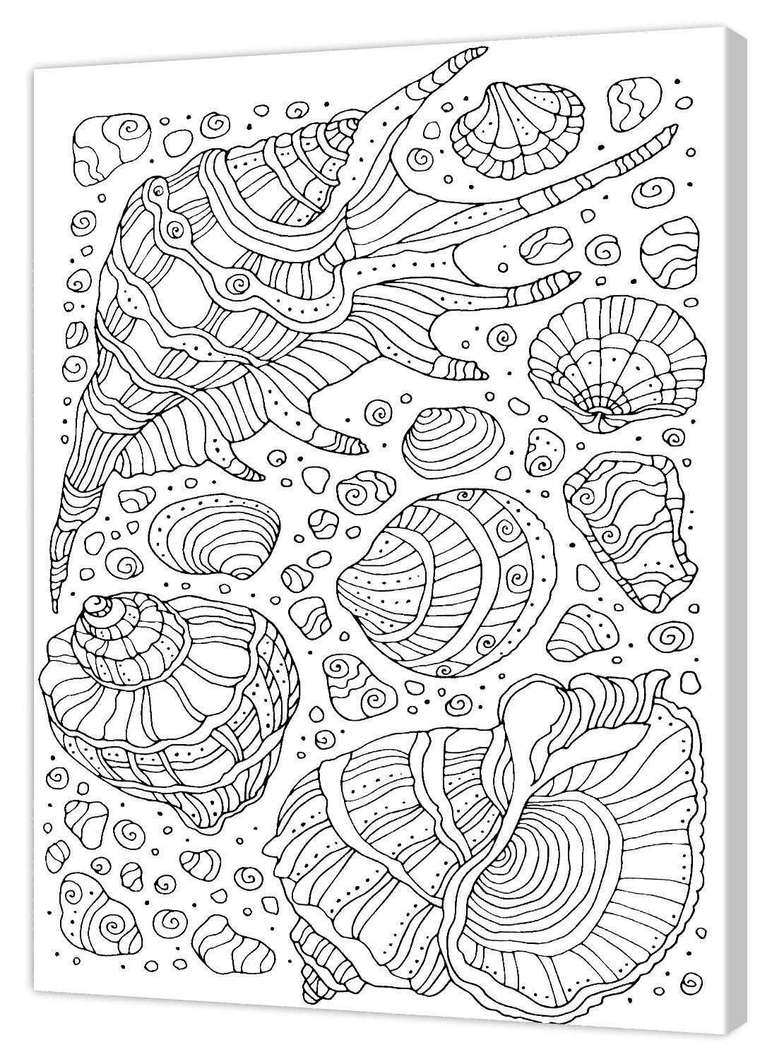 Pintcolor Coloring Printed Canvas Frame, Cotton Spruce wood, White/Black, 40 x 50 x 3.5 cm — image 1