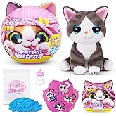Pets Alive Smitten Kittens Series 2 (Dragon Li) by ZURU – Interactive Plush Cat Toy with 10 Sounds, Surprise Unboxing, Soft C