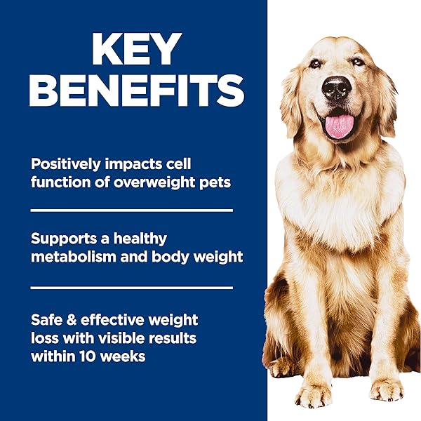 HILL’S SCIENCE DIET PERFECT WEIGHT, ADULT 1-6, WEIGHT MANAGEMENT SUPPORT, DRY DOG FOOD, CHICKEN & BROWN RICE, 12 LB. BAG