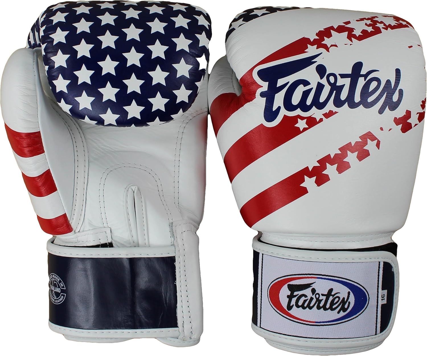 fairtex 14oz gloves