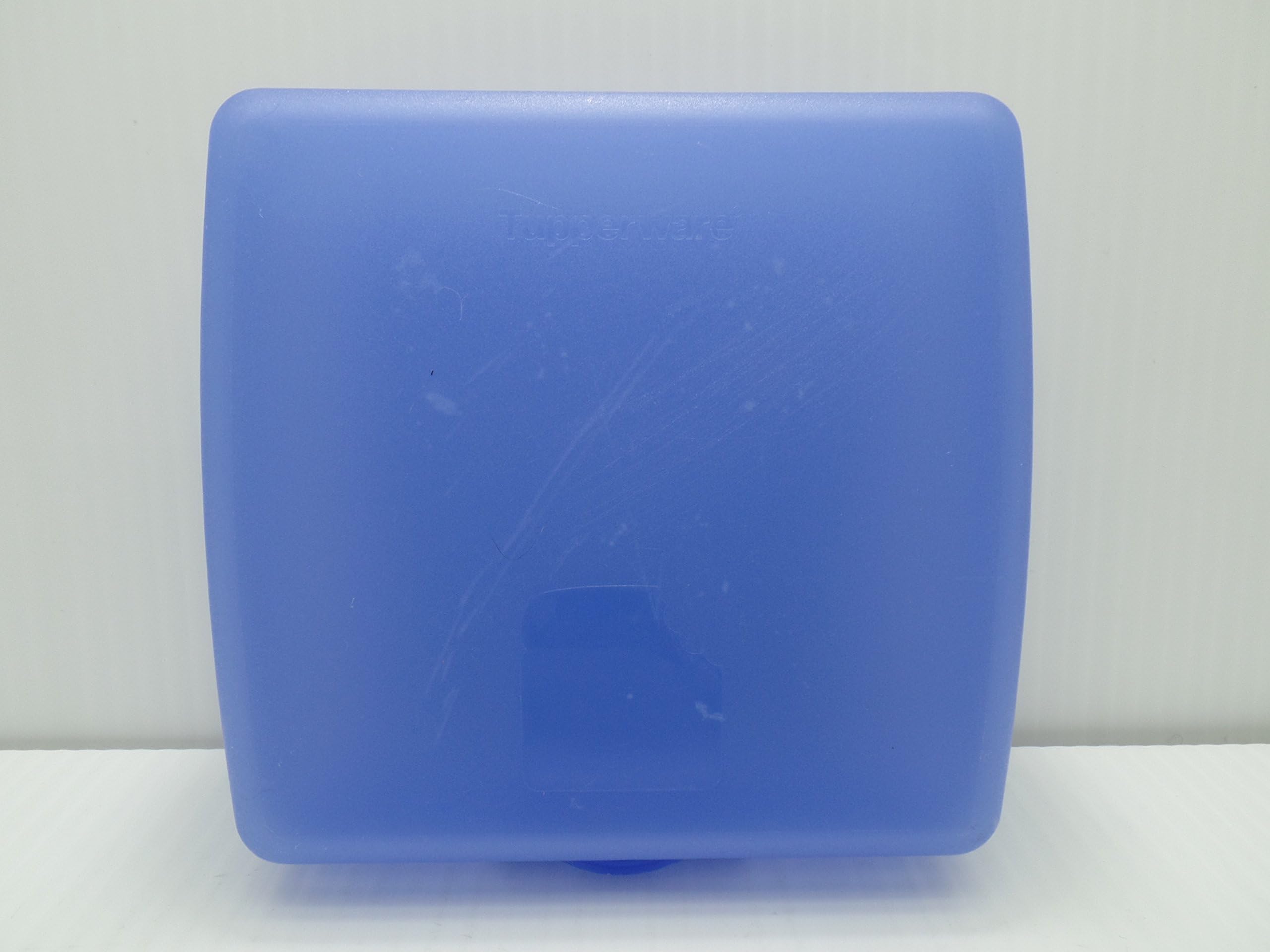 Tupperware Sandwich Keeper / Lunch Container (Blue)