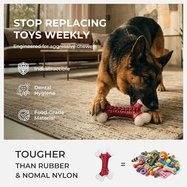 KSEROO 6-PACK INDESTRUCTIBLE DOG TOYS FOR AGGRESSIVE CHEWERS: BEEF FLAVORED HARD NYLON BONE CHEW TOYS, TOUGH DOG CHEW TOYS FOR LARGE DOGS, DOG TOYS TO KEEP THEM BUSY FOR MEDIUM LARGE BREED, RED