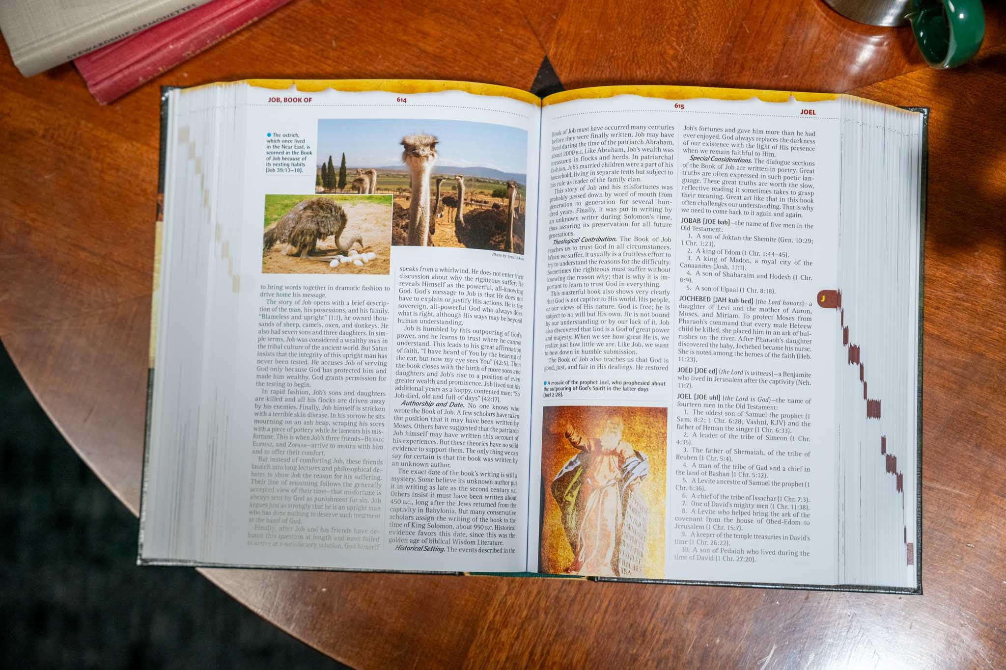Nelson's Illustrated Bible Dictionary: New and Enhanced Edition