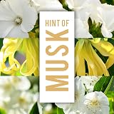 Impulse Hint Of Musk Body Spray Deodorant 150 ml Brand New view 6