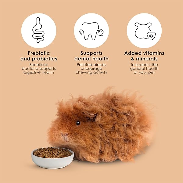 KAYTEE TIMOTHY COMPLETE GUINEA PIG FOOD, MADE WITH TIMOTHY HAY, HIGH IN FIBER, SUPPORTS DENTAL HEALTH AND DIGESTION, LONG-LASTING VITAMIN C, 9.5 POUNDS