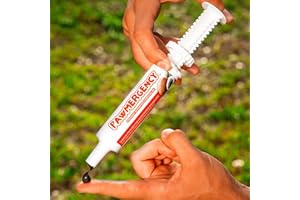 VETANICA PawMergency – Activated Charcoal First Aid Kit Emergency Rescue for Dogs, Cats, Puppy & Pet Poison Kit, Camping Survival Remedy Essential,Oral Anti Diarrhea Digestive Paste Ready Absorb Toxins (30mL)