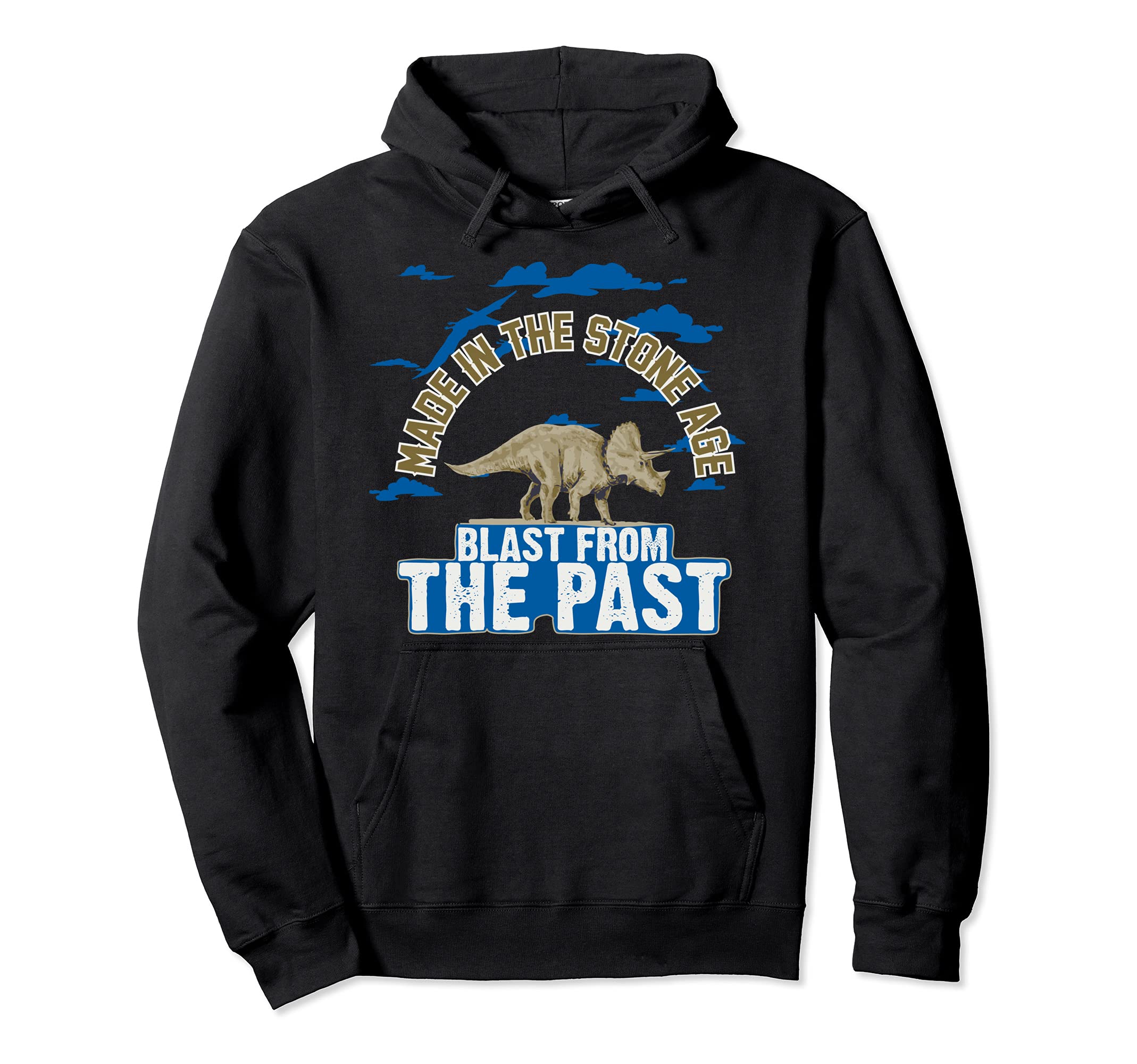 Dino Dinosaur From The Past T-Rex Extinct Animals Stone Age Pullover Hoodie