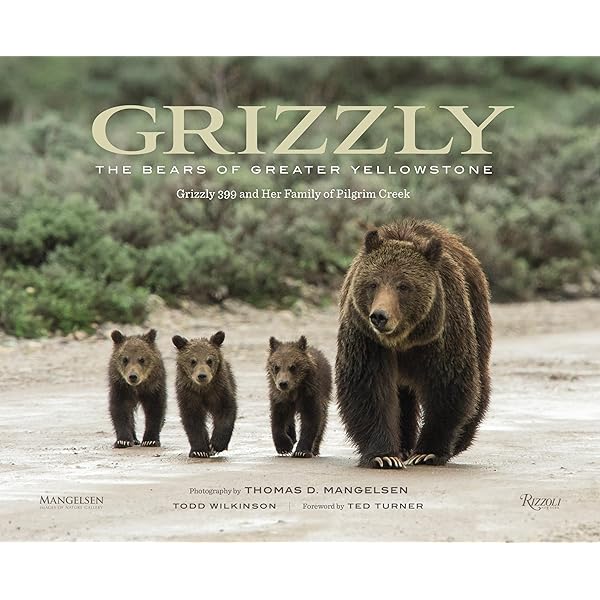 Grizzly 399: The World's Most Famous Mother Bear: Mangelsen