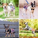 Pet Soft Washable Dog Nappies Female 3 Pack Large Incontinence Pants view 7