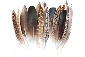 Daieeparty 15pcs Pheasant Feathers 5-8inch Natural Craft Feather for Home DIY Dreamcatcher Hat Costumes Decoration(5 Styles)
