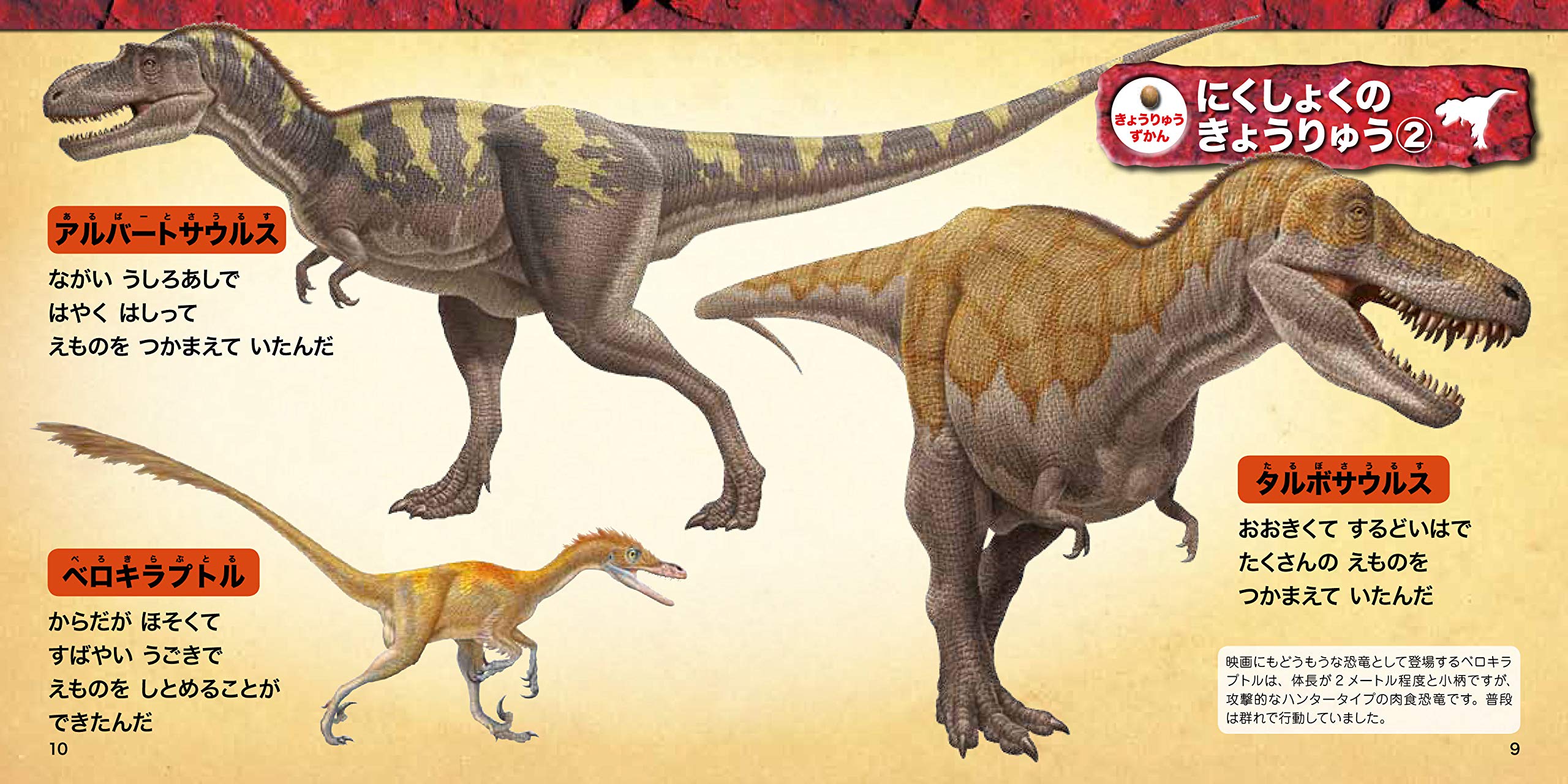 あつまれ きょうりゅう なかよし写真えほん 慶司 寺越 本 通販 Amazon